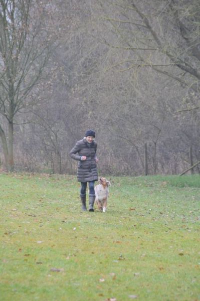 BH-Prüfung Herbst 2016