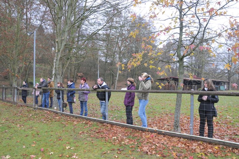 BH-Prüfung Herbst 2016