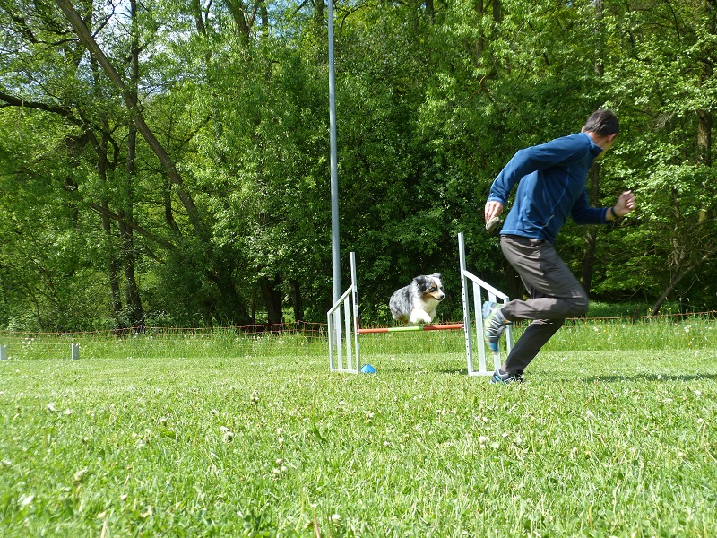 Impressionen Agility