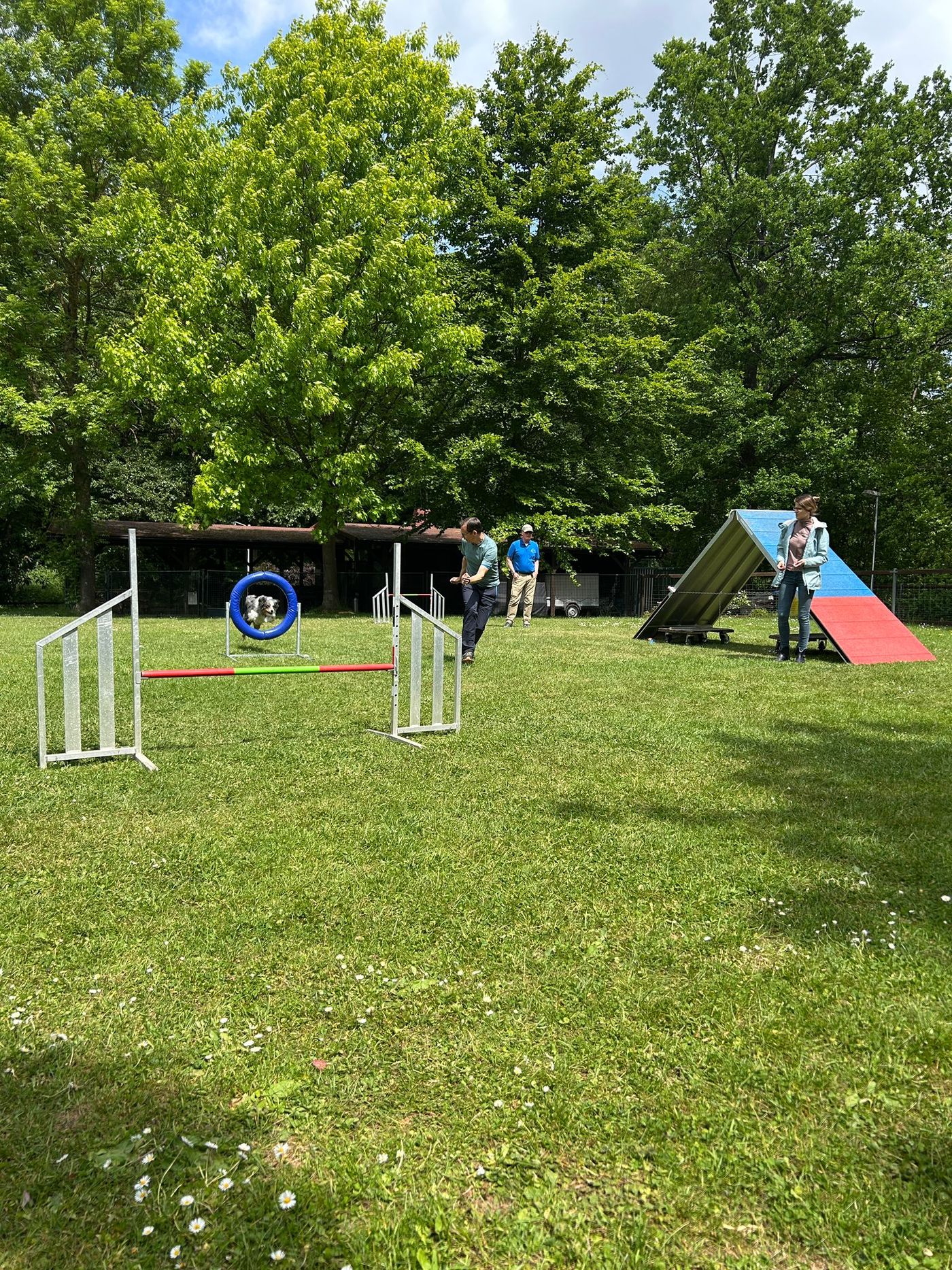 Internes Agi-Seminar