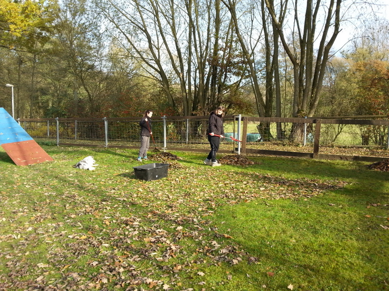 Laubrechen Jugendgruppe