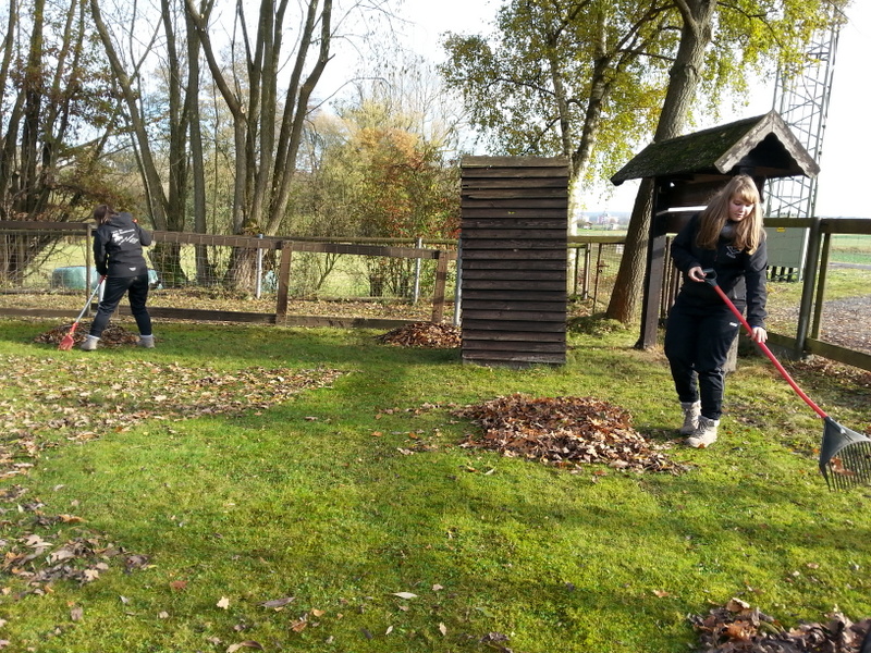 Laubrechen Jugendgruppe