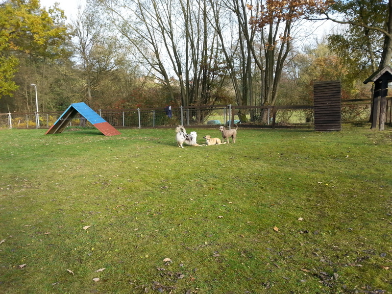 Laubrechen Jugendgruppe