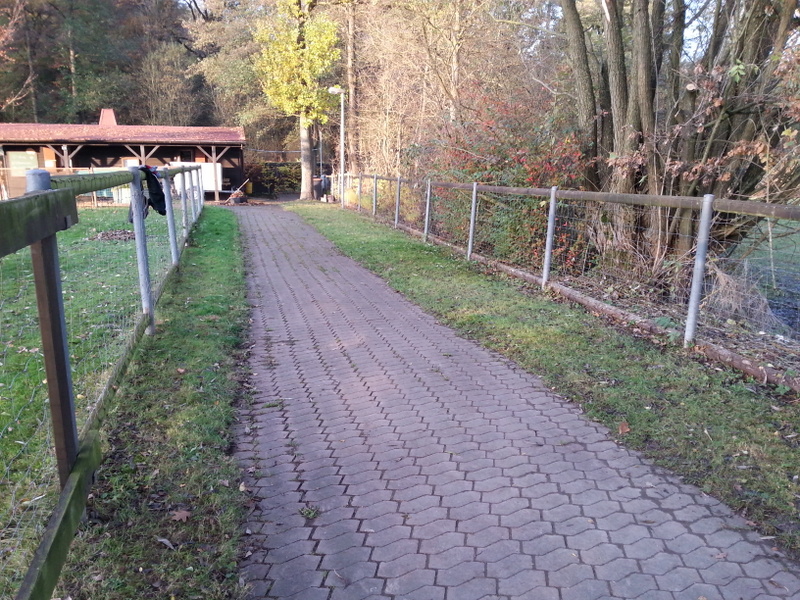 Laubrechen Jugendgruppe