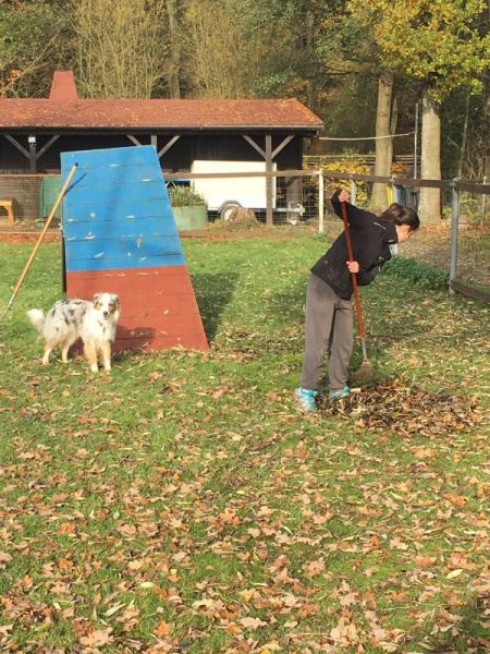 Laubrechen Jugendgruppe