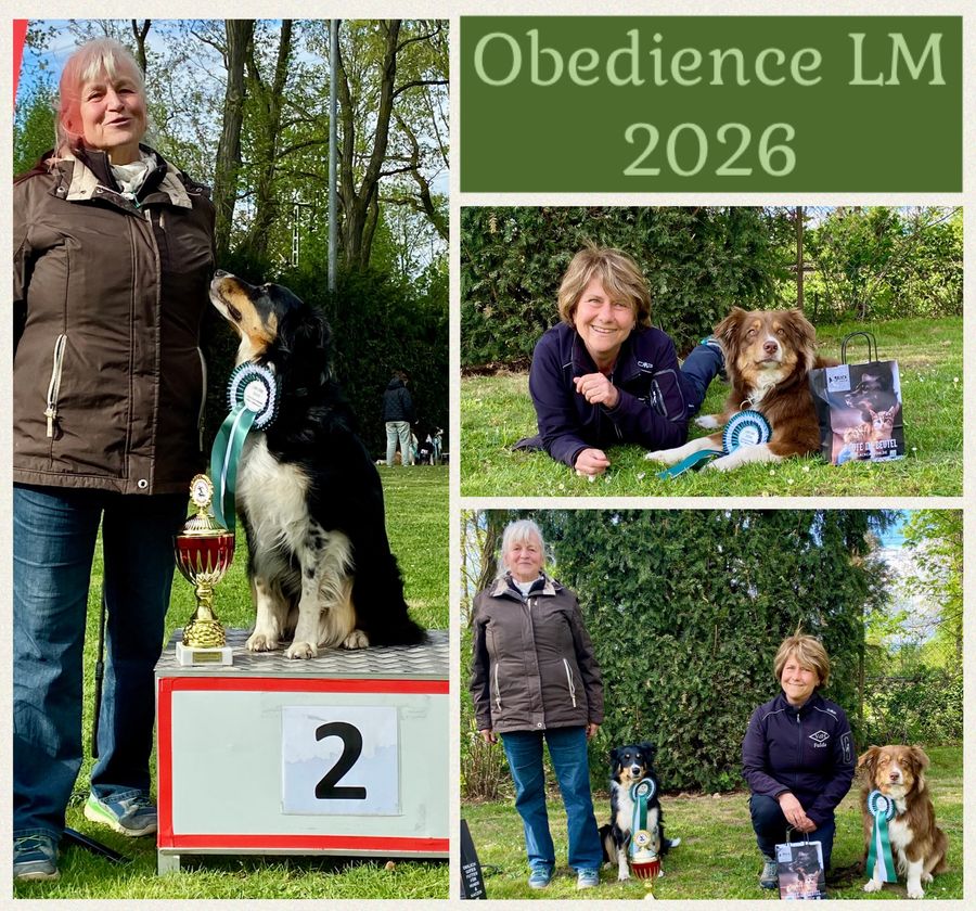 Landesmeisterschaft Obedience 18./19. April 2026