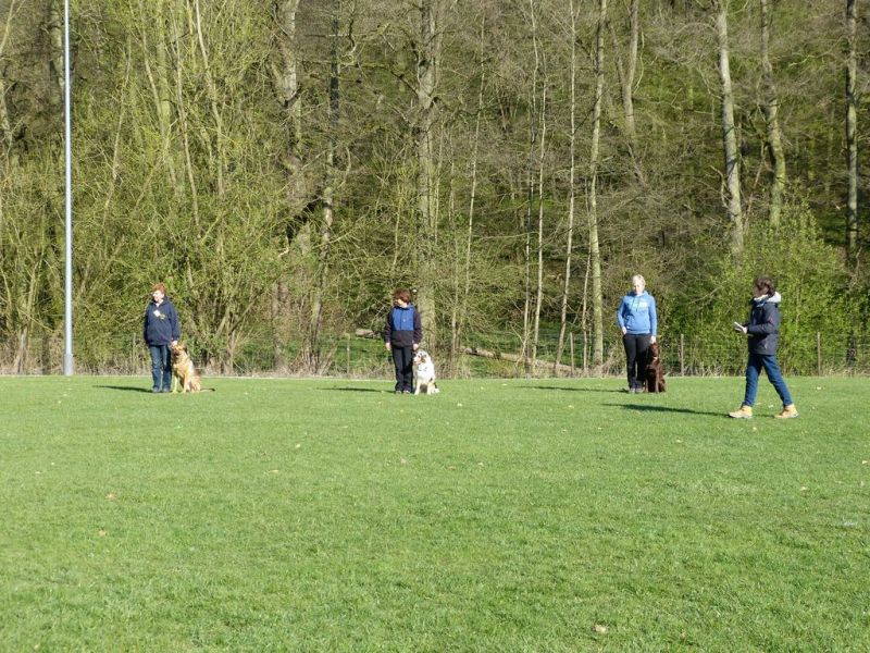 Obedience Prüfung 2015