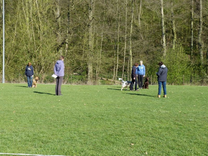 Obedience Prüfung 2015