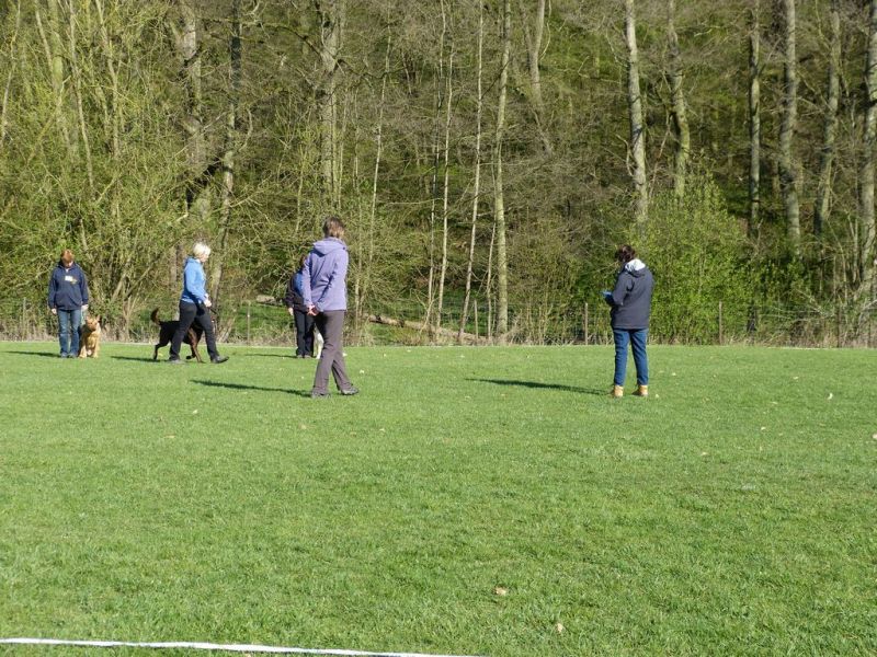 Obedience Prüfung 2015