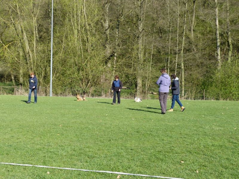 Obedience Prüfung 2015
