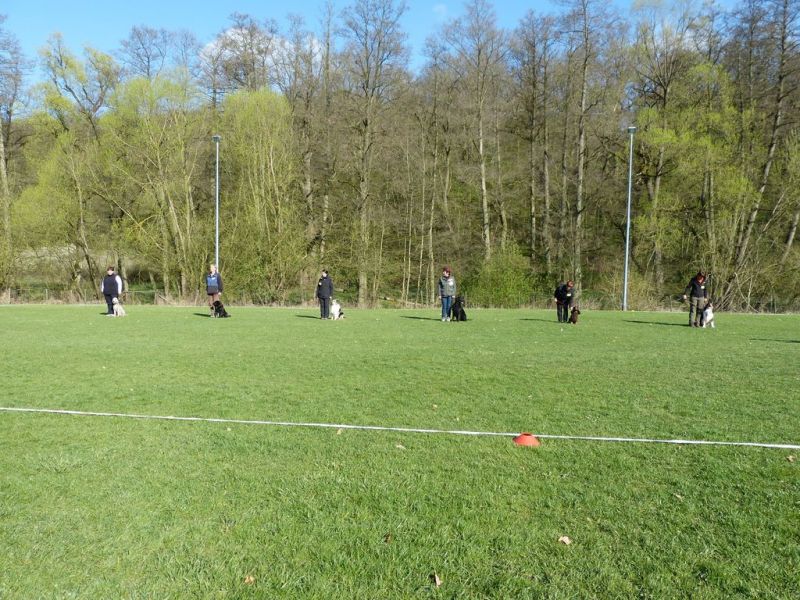 Obedience Prüfung 2015