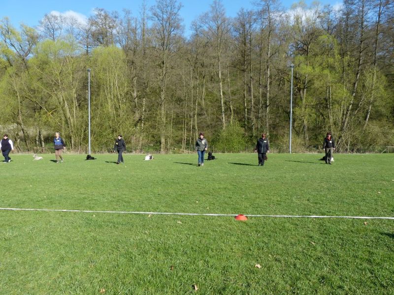 Obedience Prüfung 2015