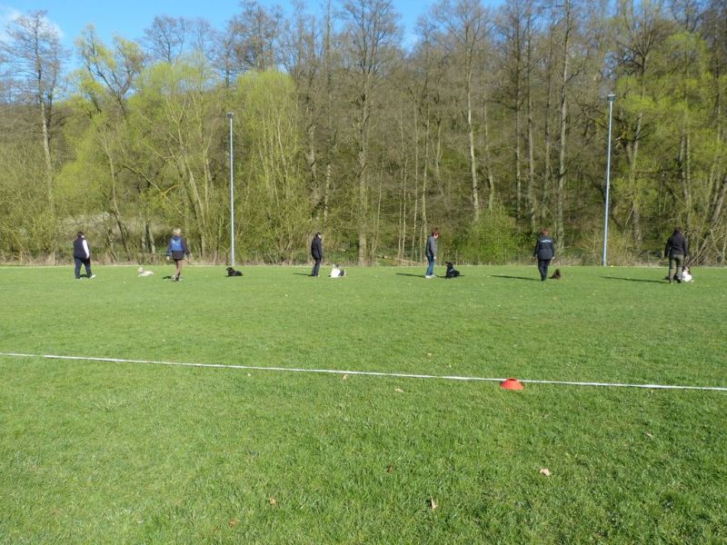 Obedience Prüfung 2015