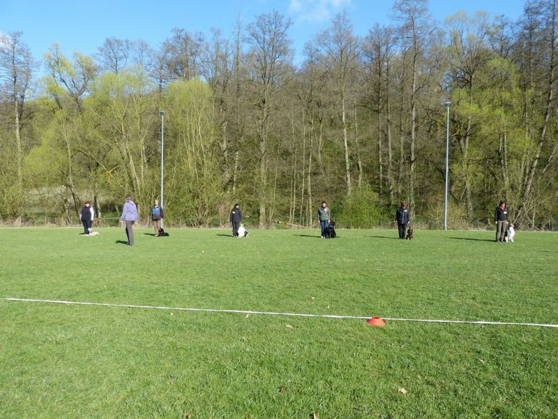Obedience Prüfung 2015