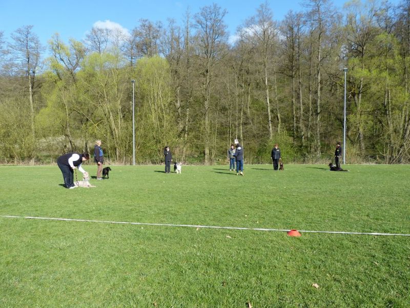 Obedience Prüfung 2015