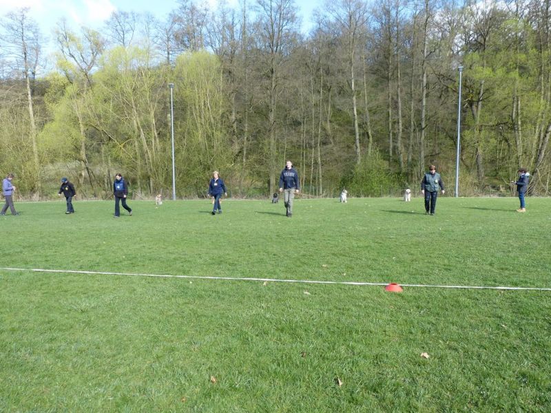 Obedience Prüfung 2015