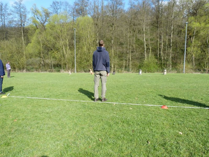Obedience Prüfung 2015
