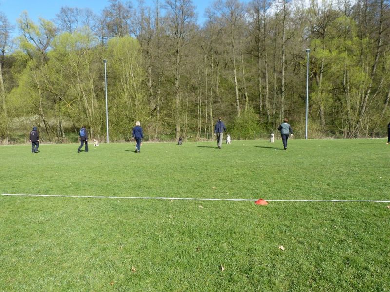 Obedience Prüfung 2015