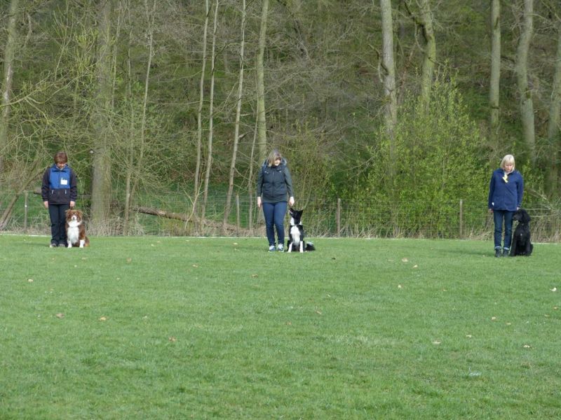 Obedience Prüfung 2015