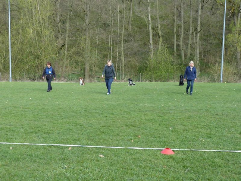 Obedience Prüfung 2015