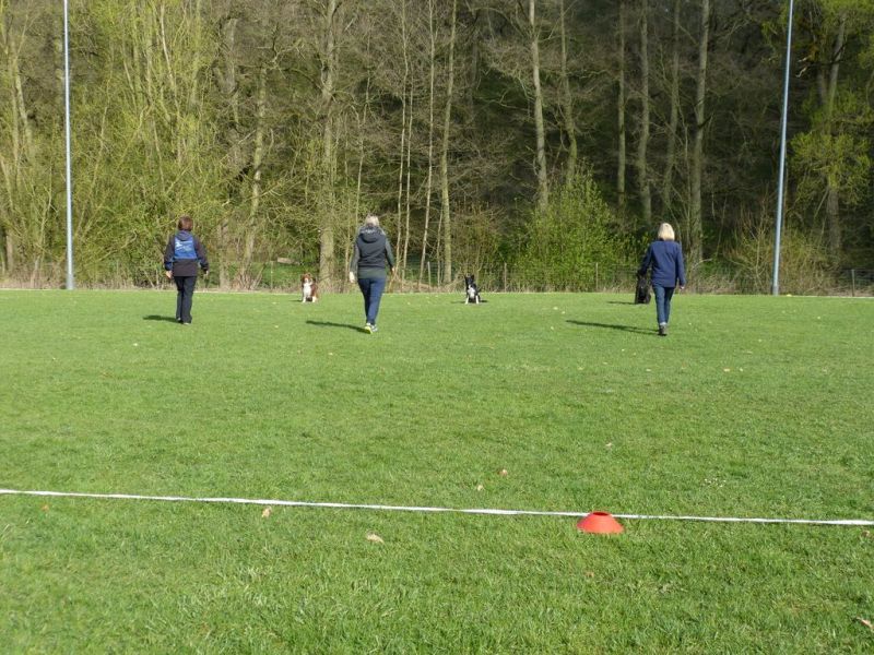 Obedience Prüfung 2015