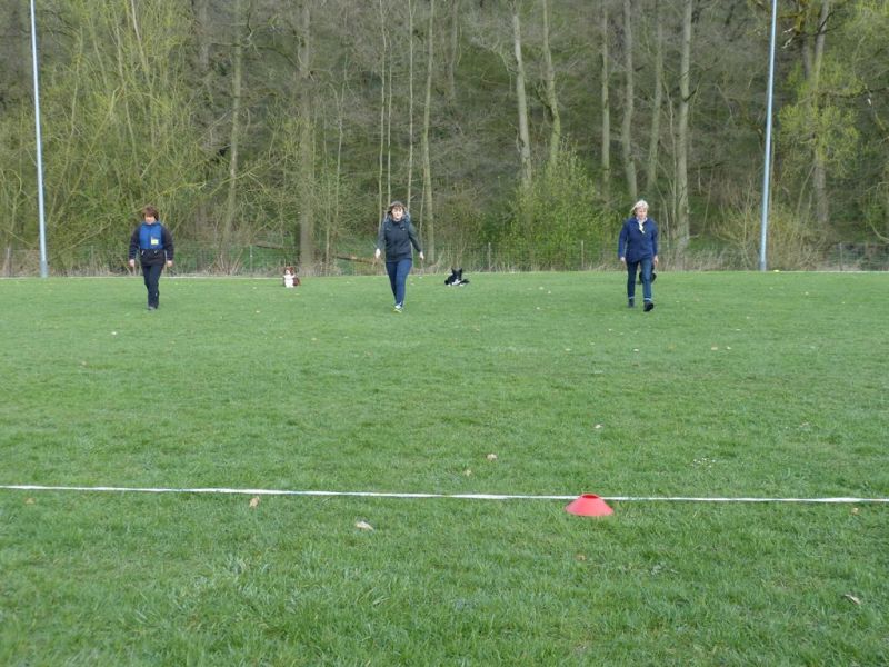 Obedience Prüfung 2015