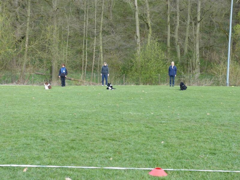 Obedience Prüfung 2015
