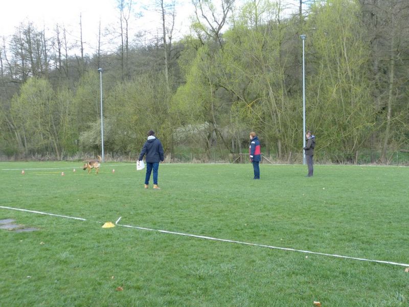 Obedience Prüfung 2015