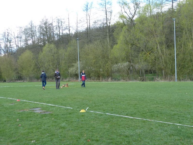 Obedience Prüfung 2015