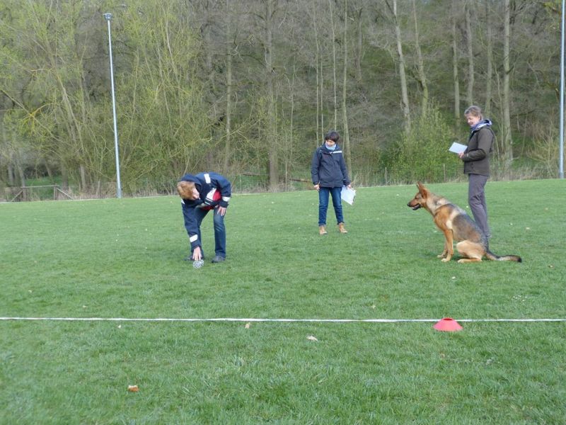 Obedience Prüfung 2015