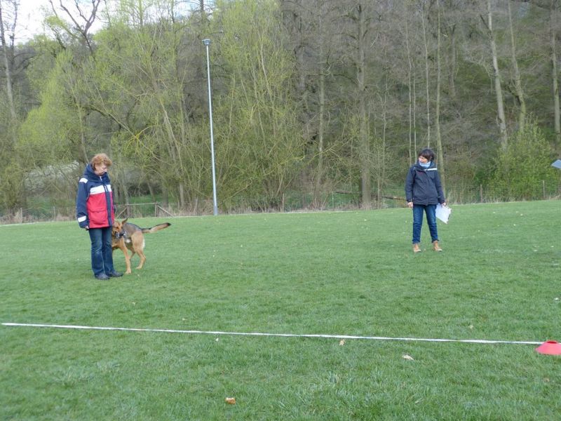 Obedience Prüfung 2015