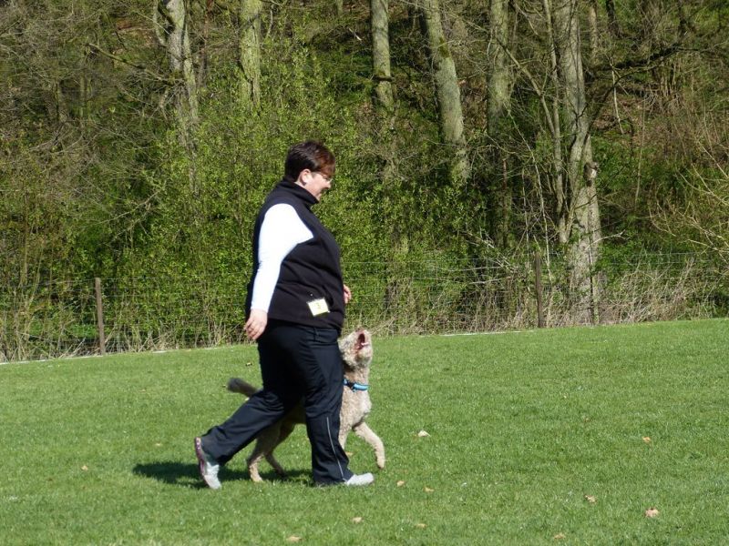 Obedience Prüfung 2015