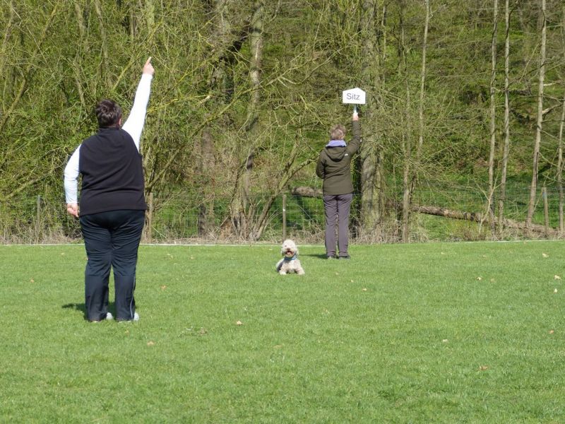 Obedience Prüfung 2015
