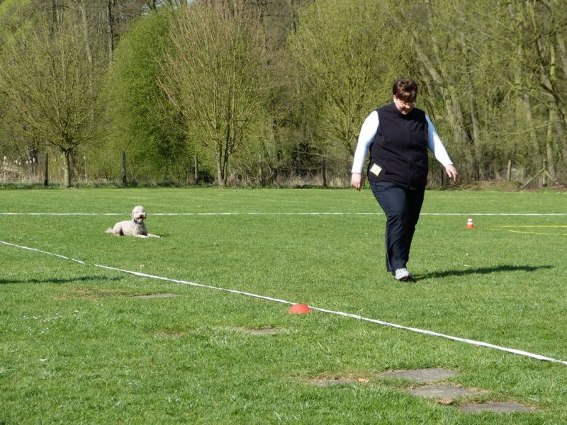 Obedience Prüfung 2015