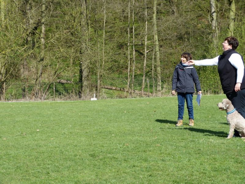 Obedience Prüfung 2015