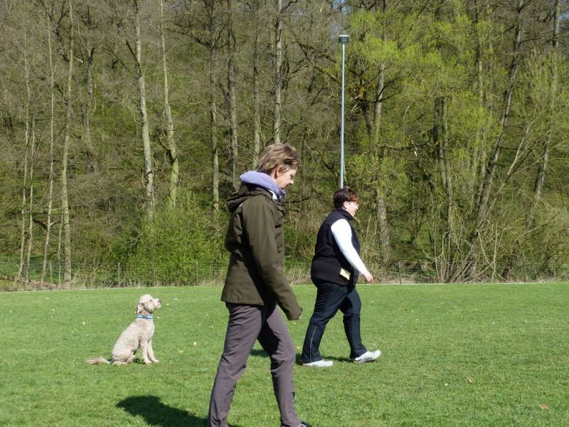 Obedience Prüfung 2015