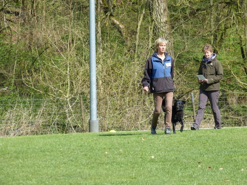 Obedience Prüfung 2015