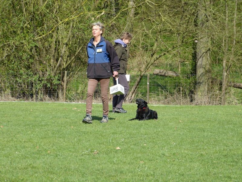 Obedience Prüfung 2015
