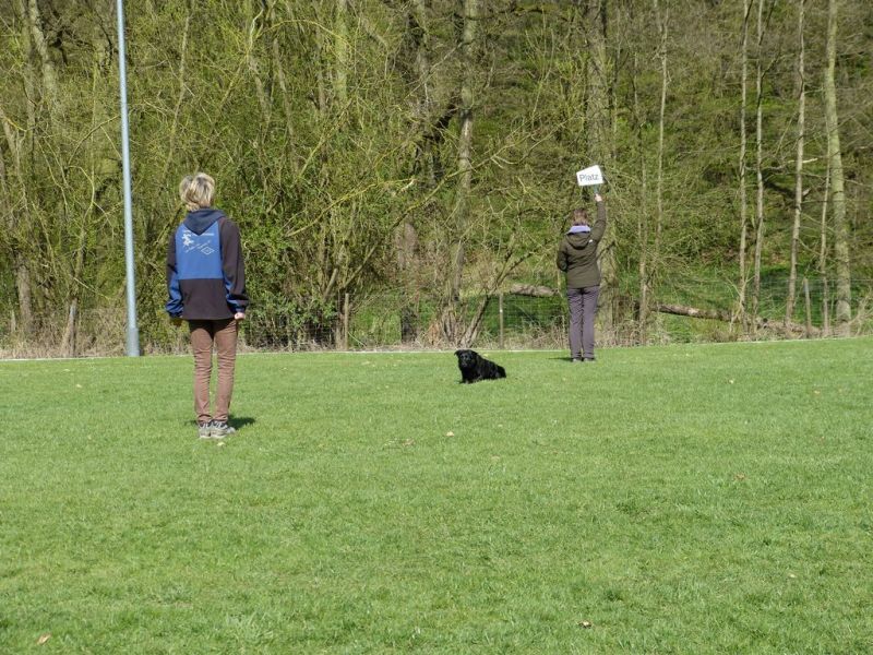 Obedience Prüfung 2015