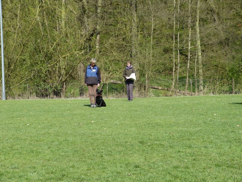 Obedience Prüfung 2015