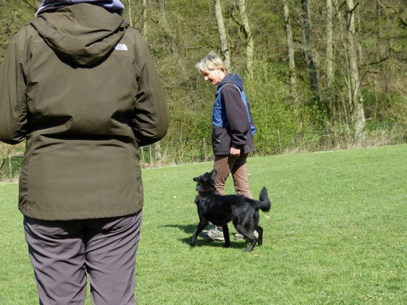 Obedience Prüfung 2015
