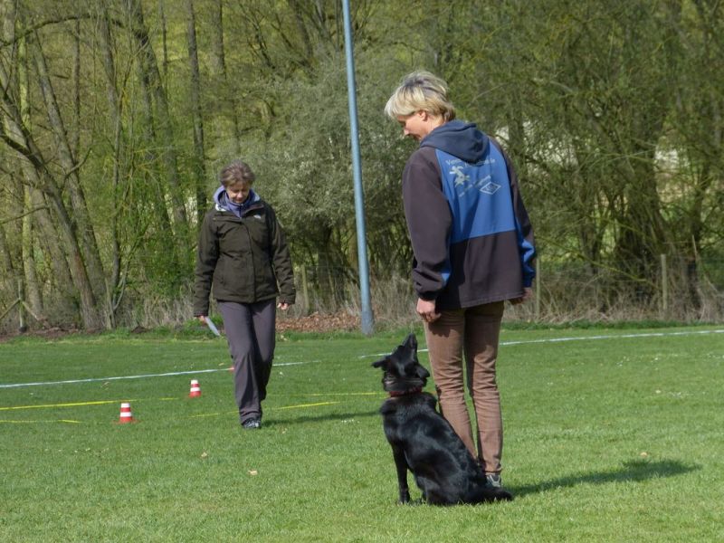 Obedience Prüfung 2015