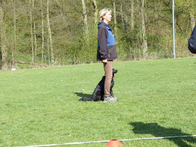 Obedience Prüfung 2015