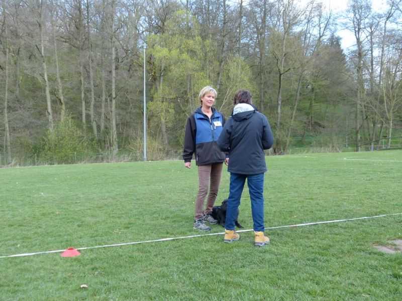 Obedience Prüfung 2015