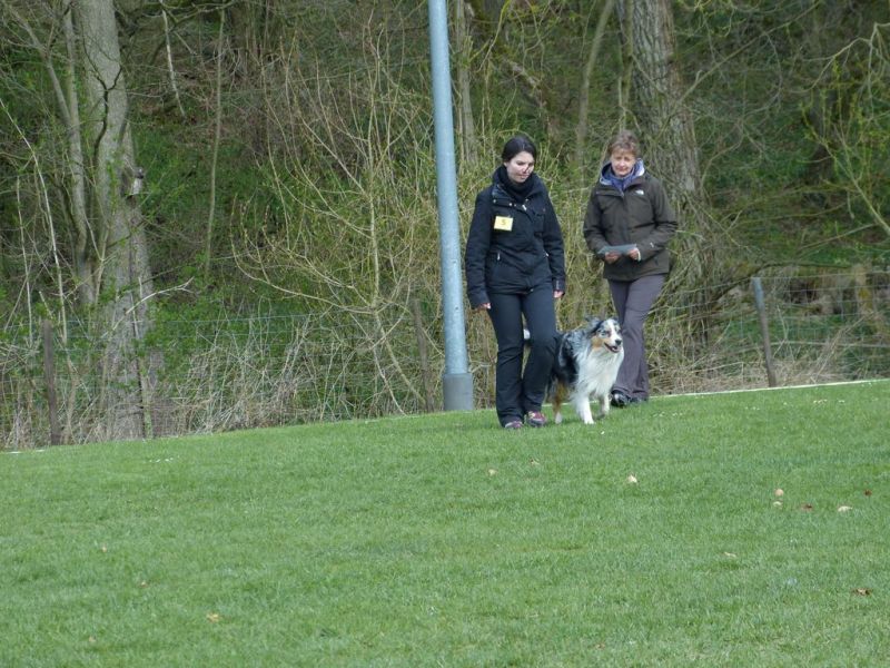 Obedience Prüfung 2015