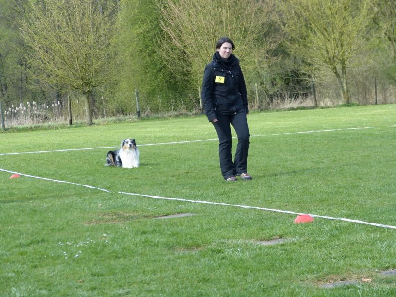 Obedience Prüfung 2015