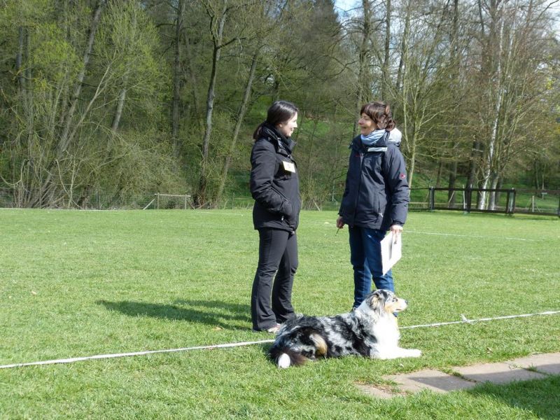 Obedience Prüfung 2015