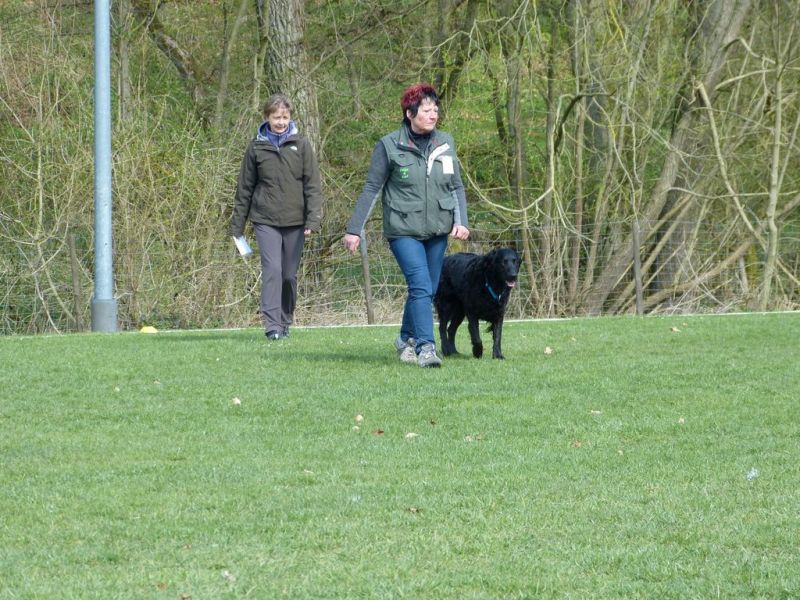 Obedience Prüfung 2015