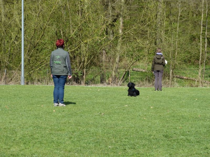Obedience Prüfung 2015