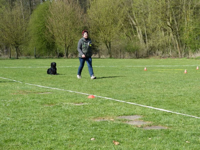 Obedience Prüfung 2015